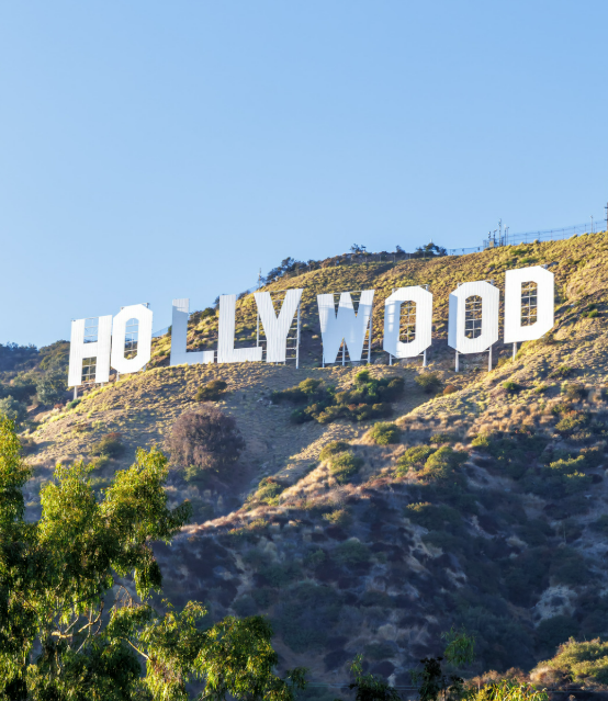 Hollywood 1
